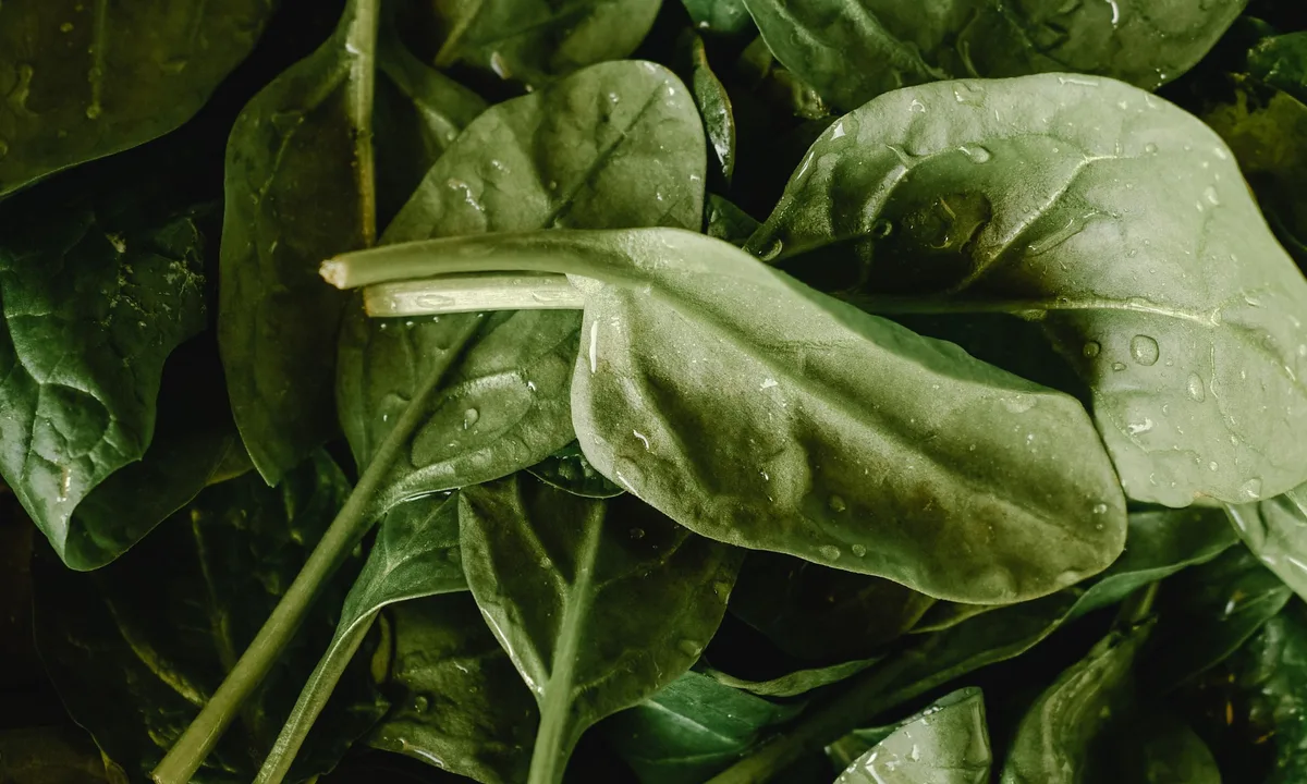 Nitrates & Nitrites: What You Need to Know